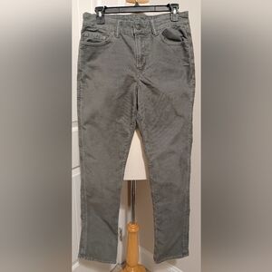 American Eagle Outfitters Men's Gray Corduary Pants Sz 30x32
